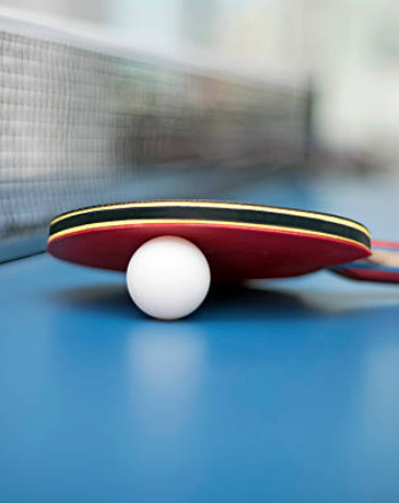 Ping pong table
